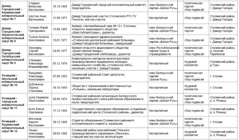 Елена Буян была кандидатом в депутаты Столинского района Совета депутатов