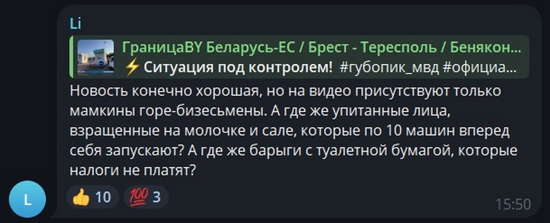 Беларусы считают, что силовики задержали не тех продавцов мест в очереди на границе. Скриншот чата