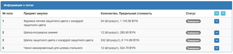 Тендер на головные уборы для Брестского облисполкома. Скриншот сайта госзакупок