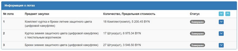 Тендер Брестского облисполкома на одежду. Скриншот сайта госзакупок