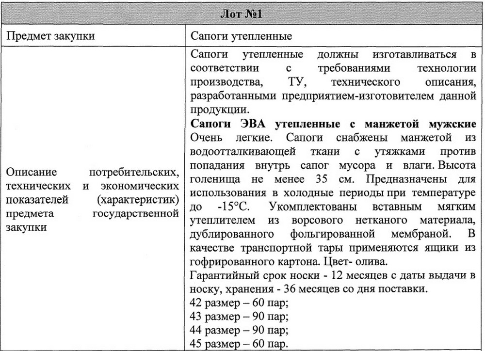 Описание утепленных сапог для Брестского горисполкома. Скриншот документа на сайте госзакупок