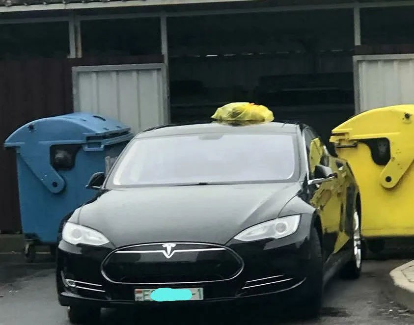 Автомобиль Tesla около мусорных контейнеров в одном из дворов по ул. Московская, 245 в Бресте. Фото: Телеграм.