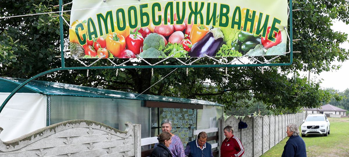 Ларек, деревня, самообслуживание