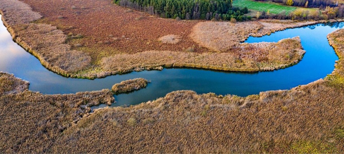 Заказник, Споровский, природа