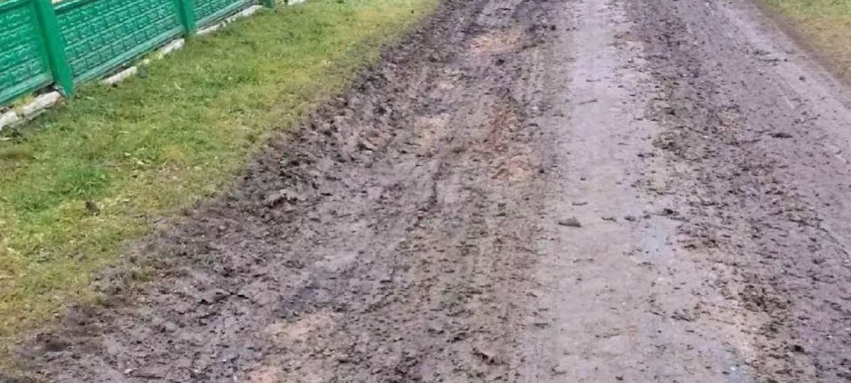 Дорога, Высокое, Воложинский район