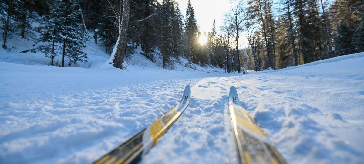 Лыжня, трасса, лыжи