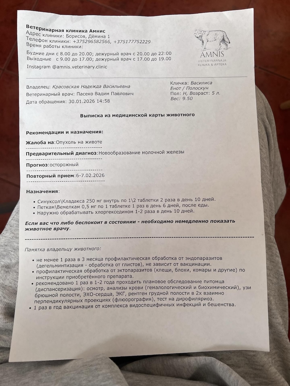 Выписка из медицинской карты животного. 