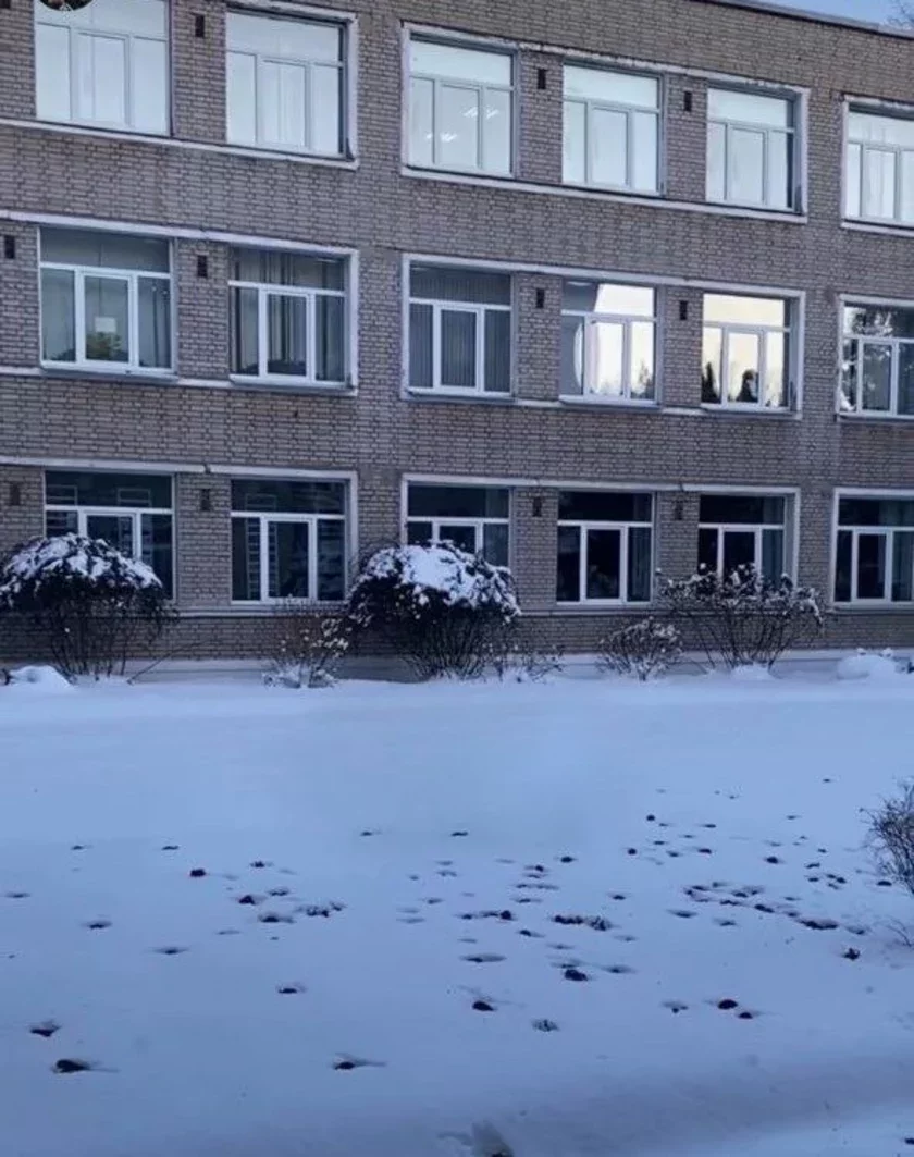 Летучие мыши на снегу около гимназии №1 в Солигорске.