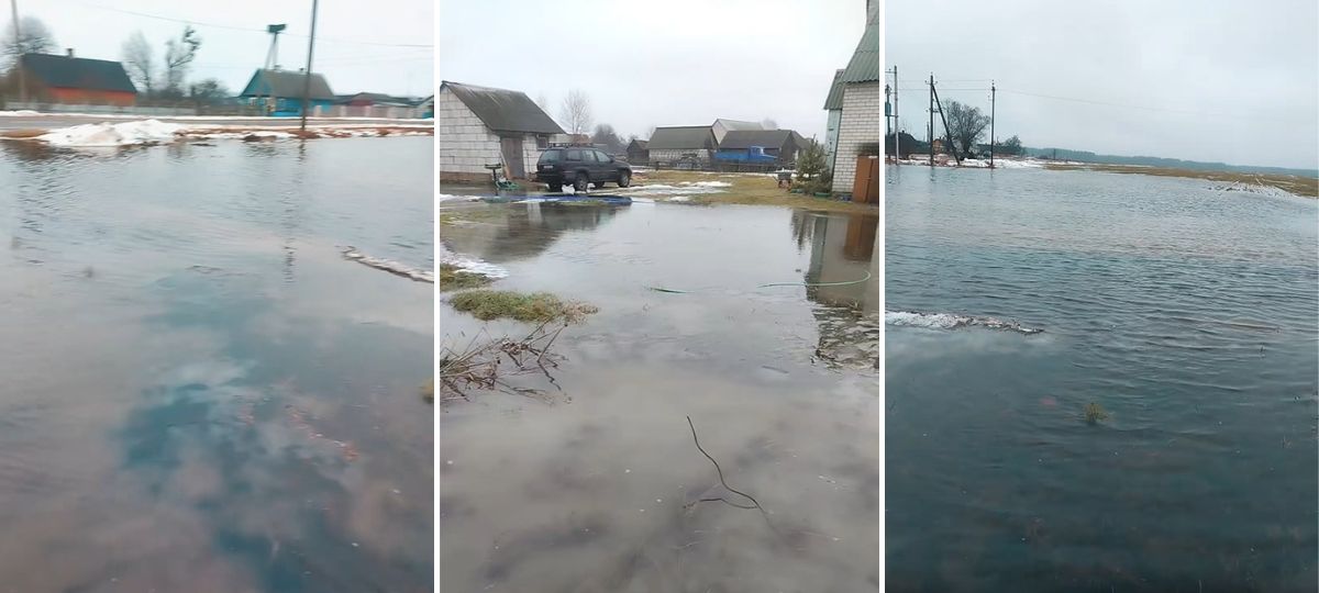 Начавшийся паводок в Малоритском районе. Коллаж BGmedia