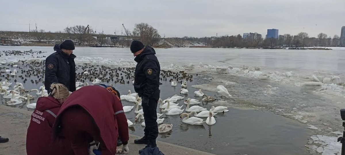 В Бресте на набережной утонула пенсионерка. 15 февраля 2026 года