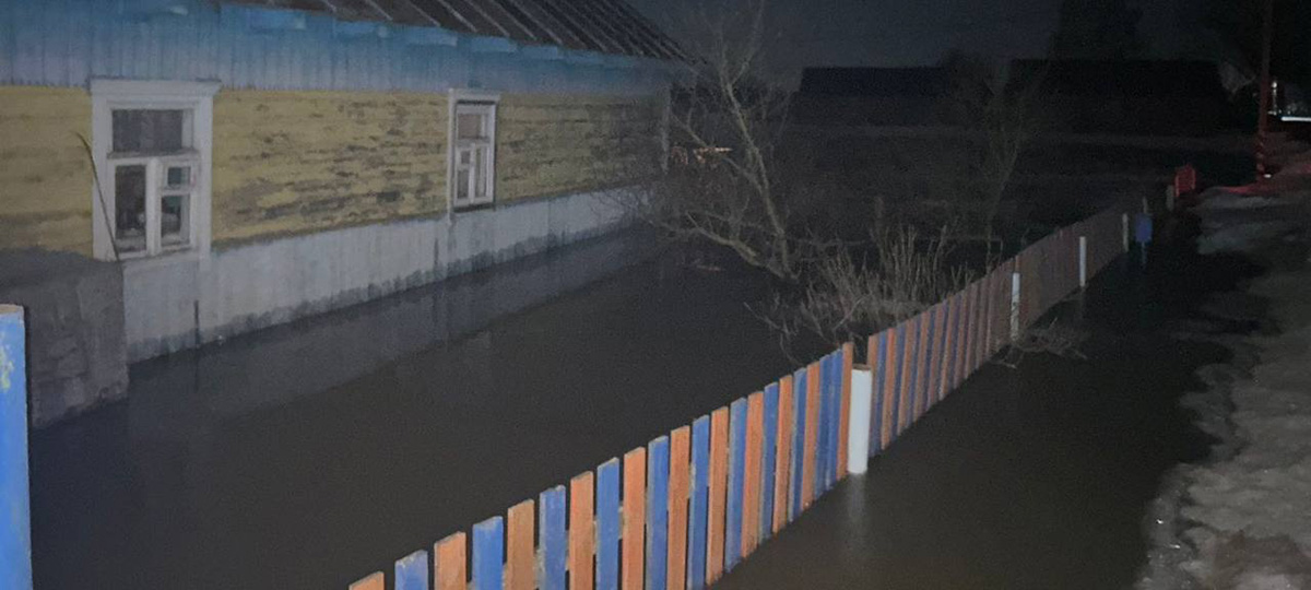 повадки возле жилого участка