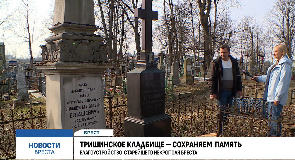 Начальник участка КУП «Брестское спецпредприятие» Олег Подольский показывает спиленное дерево на Тришинском кладбище. Скриншот видео