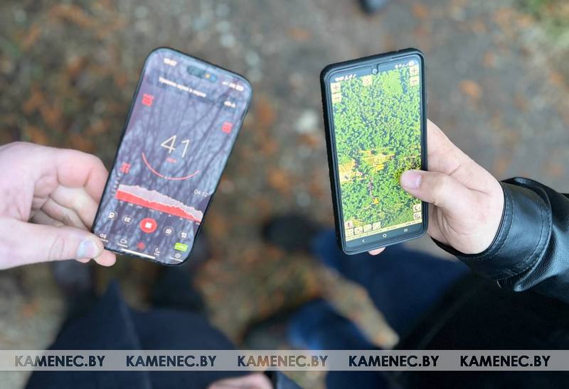 Уровень замера шума в Беловежской пуще