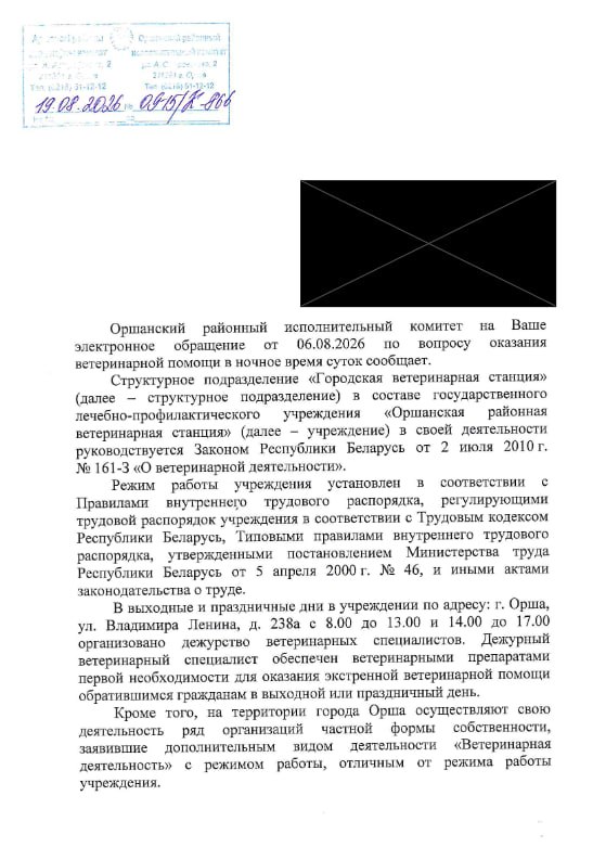 Ответ властей Орши