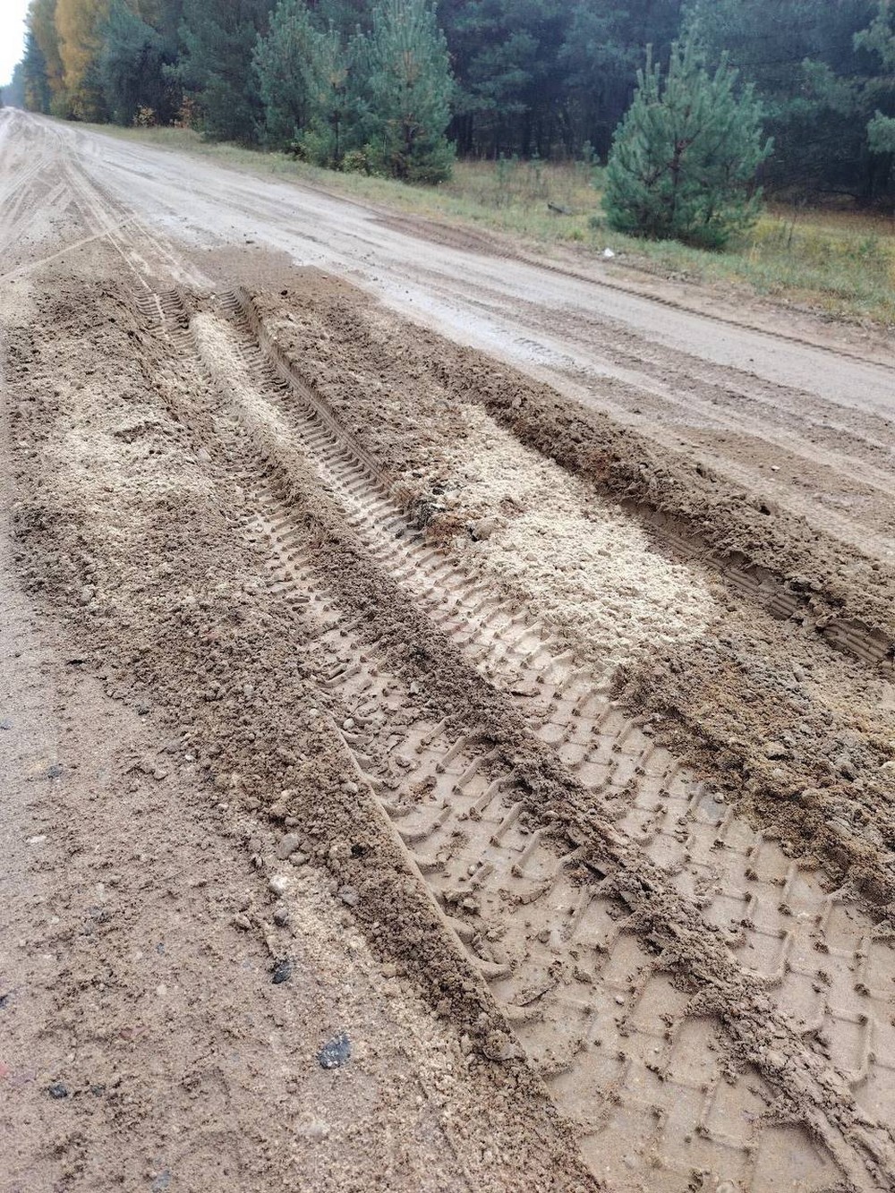 Подъездная дорога к деревне Дубица Брестского района. Фото из Threads